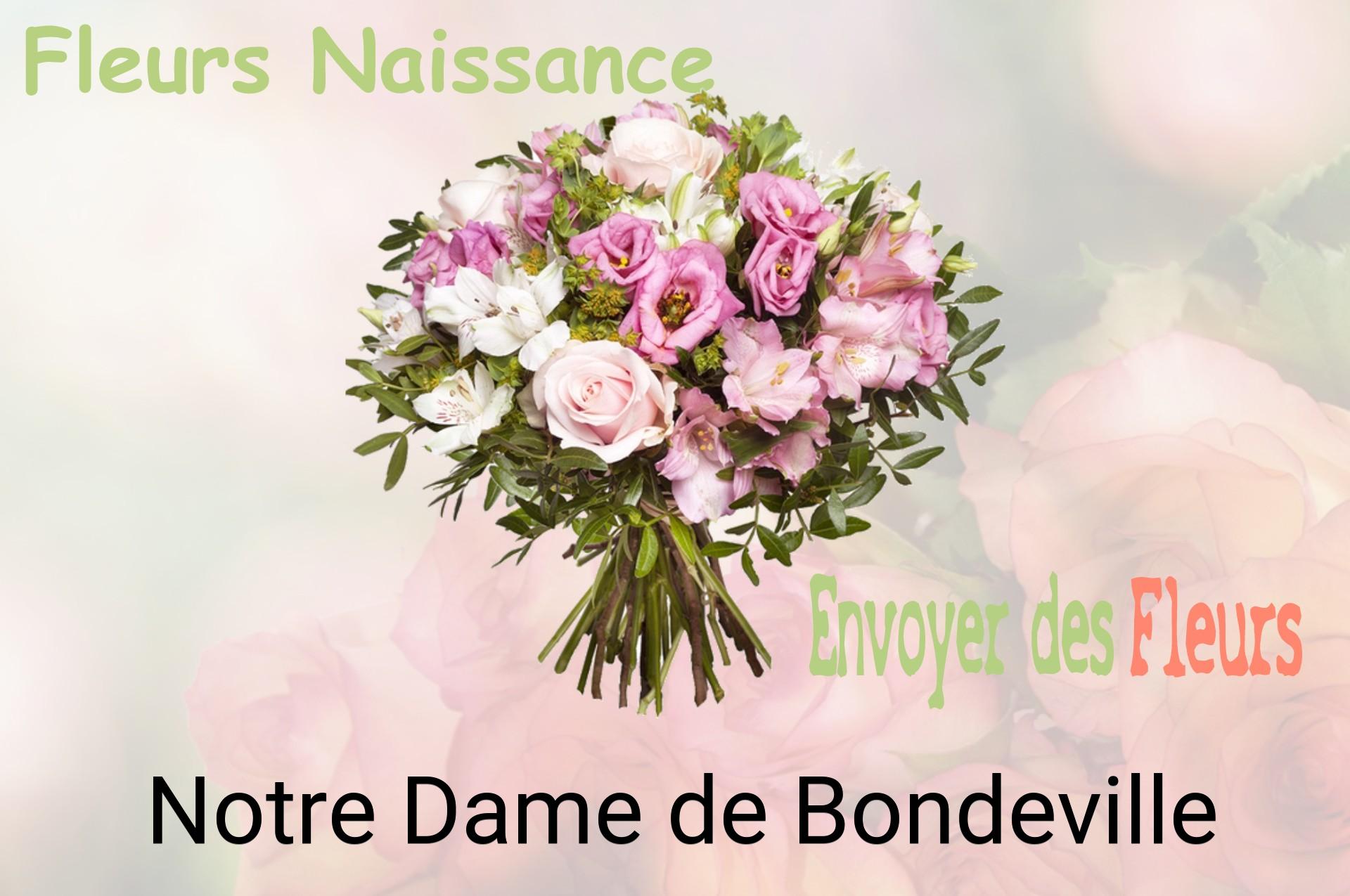 Bouquet de fleurs de naissance livré à Notre-Dame-de-Bondeville